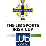 Northern Irish cup winner
