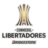 Copa Libertadores winner
