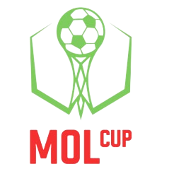 Czech cup winner