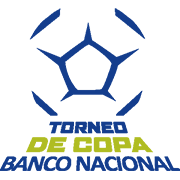 Costa Rican cup winner