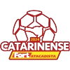 Catarinense 1