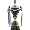 Czech cup winner
