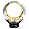 Australian champion