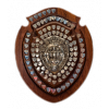 SWPL Cup winner