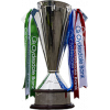 Women's Premier Division winner