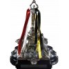 New Zealand champion