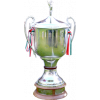 AFF Championship winner