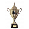 Estonian Super Cup winner