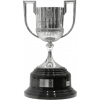 Spanish cup winner