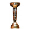 AFC Challenge Cup Winner