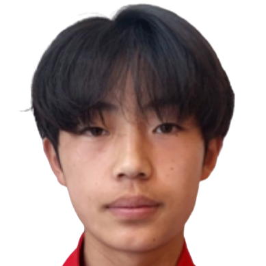 Qin Honghao
