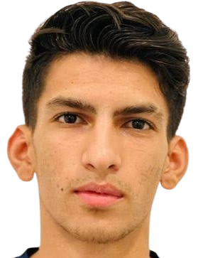 Hamidreza Firouzi