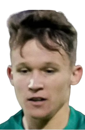 Mitja Ilenic