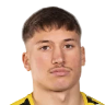 Dario Naamo