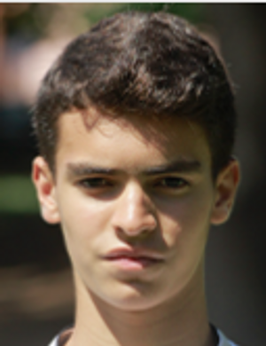 silva rodrigo