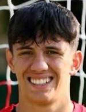 tommaso menegaldo