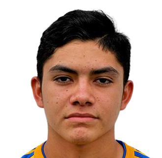 Luis Ronaldo Najera Reyna