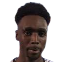 shaquille stein