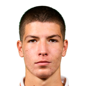 stefan gudelj