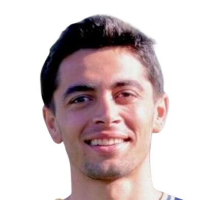 Ali Mannaa