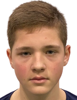 ilya menshykov