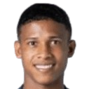 Johan Parra