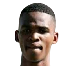 Tebogo Kopelang