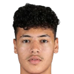 Ali Nader Mahmoud