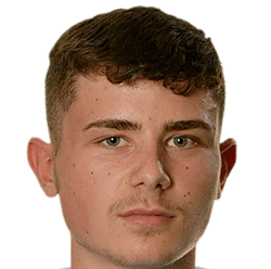 D. Chesters
