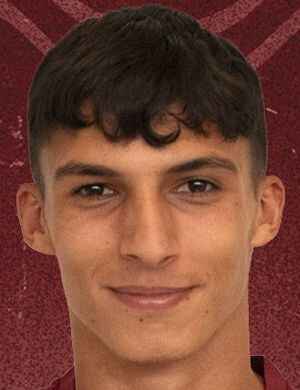 Daniele bolcano