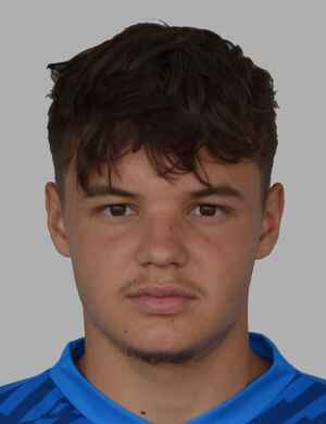 Denis dizdarevic