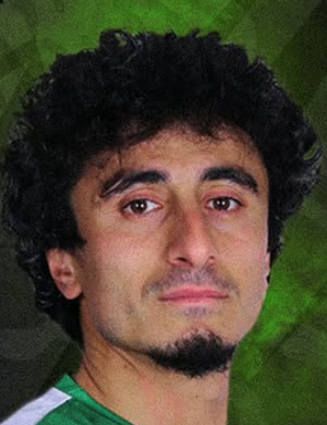 M. Çelik