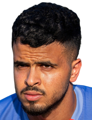 Anas Alshibli