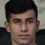 Amir Mohammad Panahi