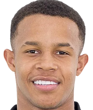 Pedro Henrique Silva dos Santos
