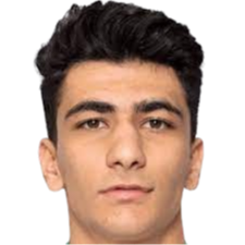 Amirmohammad Razaghinia