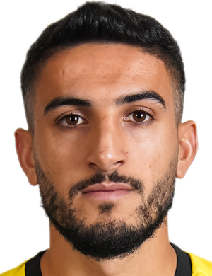 H. Çelik