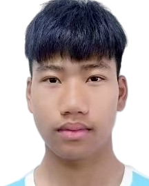 Yin Jianlei