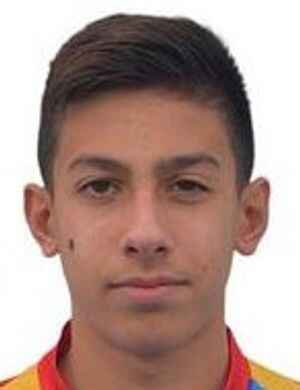 Riccardo leone