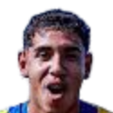 Joelson Manuel Gamarra Arbiniagaldez