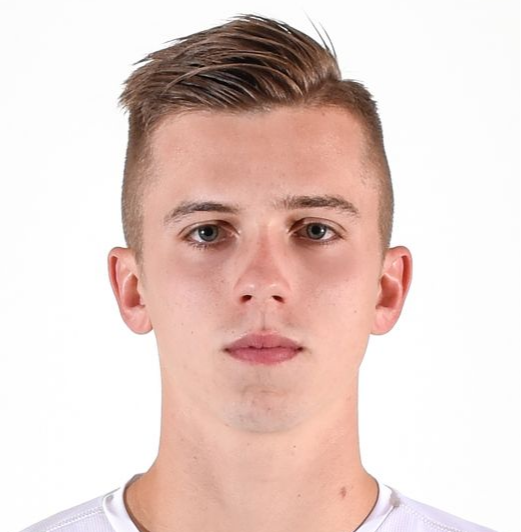 Nikola Milosavljevic
