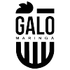 Galo Maringa