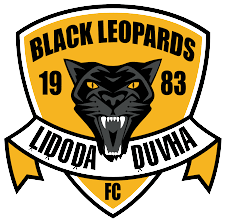 Roaring Leopard FC