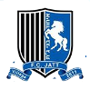 Hapoel Bnei Jat United