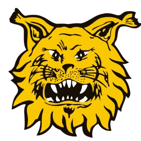 FC Ilves U21