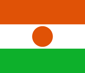 Niger nữ