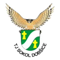 Sokol Dobsice