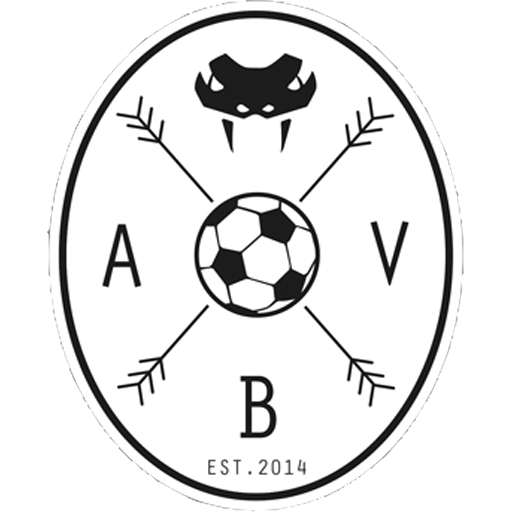 Aarhus Black Vipers