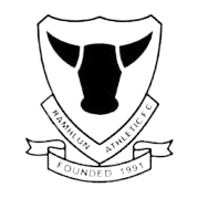 Ramhlun Athletic