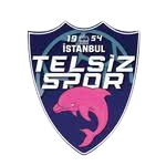 Telsizspor Women